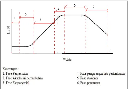 Gambar 2. Kurva pertumbuhan mikroalga dalam sistem tertutup                                  (Rand dan Petrocelli, 1985)  