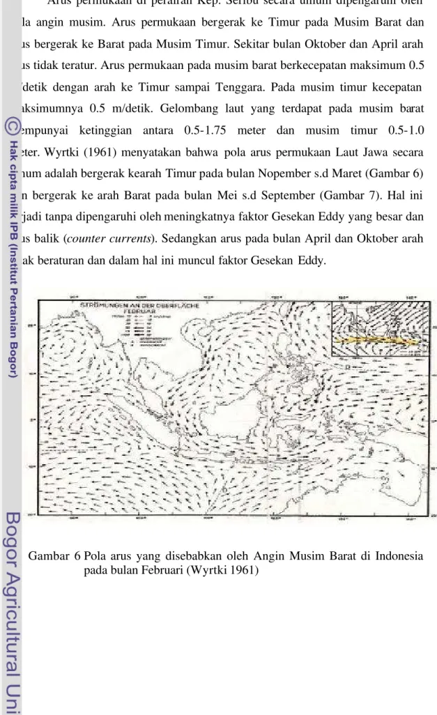 Gambar 6  Pola  arus yang disebabkan oleh Angin Musim Barat di Indonesia  pada bulan Februari (Wyrtki 1961) 