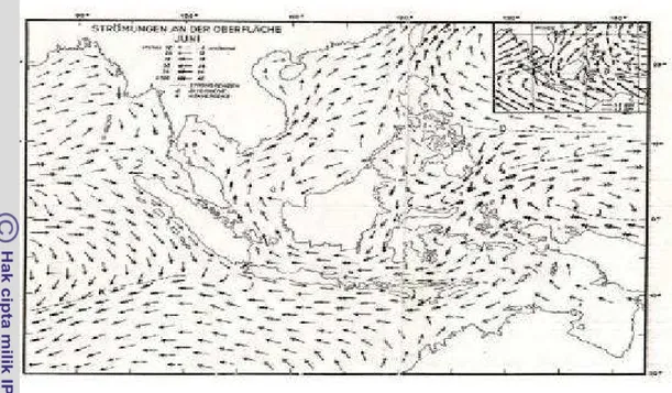 Gambar 7 Pola arus yang disebabkan oleh Angin Musim Timur di Indonesia  pada bulan Juni (Wyrtki 1961) 