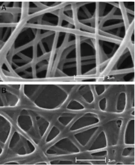 Figure 1. Scanning electron micrographs of the electrospun PVA(A) and the electrospun PVA/BSA/AChE ﬁbers (B).