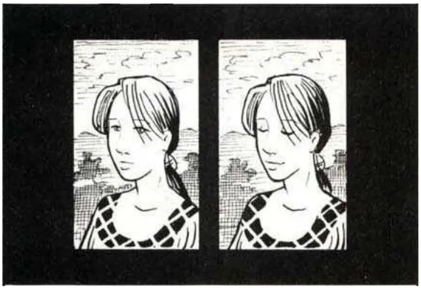 Gambar II.8 Contoh panel menurut Will Eisner (1985, h.44) 