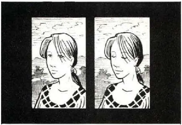Gambar II.8 Contoh panel menurut Will Eisner (1985, h.44) 