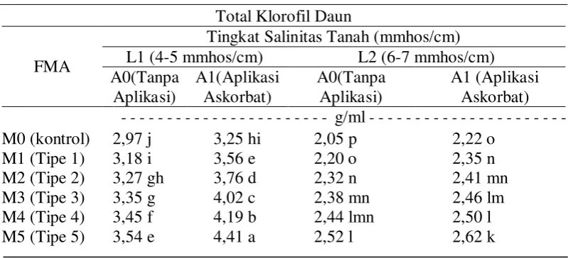 Tabel 6.  Total klorofil daun kedelai dengan perlakuan aplikasi Asam Askorbat, dan isolat Fungi Mikoriza Arbuskular pada dua lokasi 