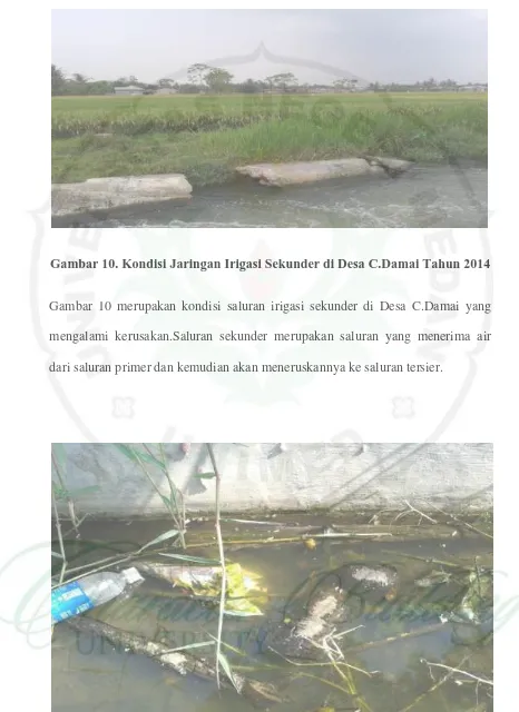 Gambar 10. Kondisi Jaringan Irigasi Sekunder di Desa C.Damai Tahun 2014 