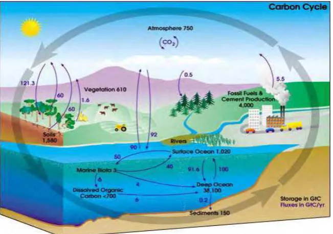 Gambar  1.     Diagram dari Siklus Karbon Global  