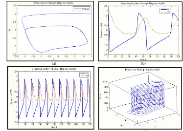 Gambar 11. Sistem Dinamika membran model  Fitzhugh-Nagumo saat I = 0.33 ; (a) bidang fase antara v dan w bersifat stabil limit cycle , (b) Dinamika v, w terhadap waktu t = 100 (c) Dinamika v, w terhadap waktu              t = 100 dan (d) grafik 3D v,w terhadap t 