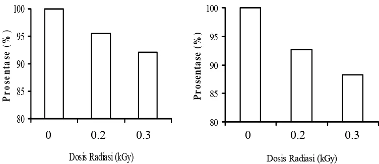 Gambar 3 Daya kecambah biji padi IR64 (A) dan HB (B)                  0.2 dan 0.3  kGy pada generasi M1