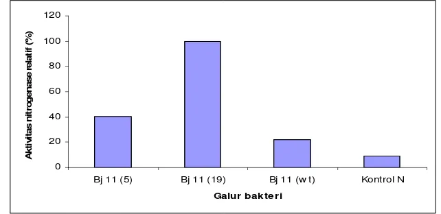 Tabel 3  Pengaruh inokulan B. japonicum sebelum penyimpanan terhadap jumlah bintil, bobot kering bintil, bobot kering tanaman bagian atas, efektivitas simbiotik, dan kandungan N total tajuk tanaman kedelai varietas Slamet umur 45 HST pada media tanah asam pH 4,8 