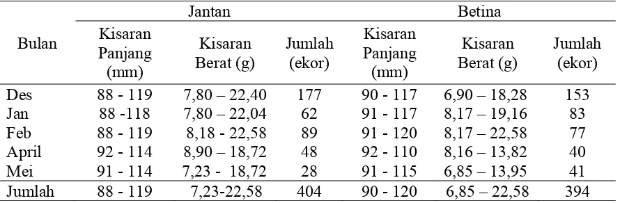 Tabel 3. Jumlah hasil tangkapan, kisaran panjang dan berat ikan pelangi merah   (Glossolepis incisus) tiap bulan pengamatan  