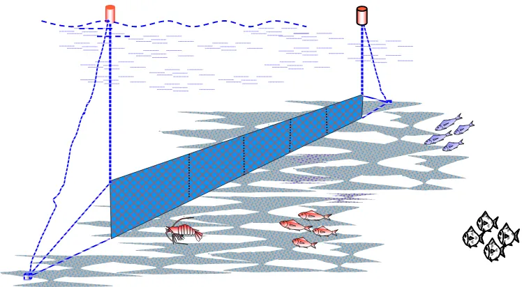 Gambar 6. Jaring insang  dasar (bottom gillnet) Sumber : Martasuganda, 2005 