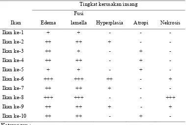Tabel 1. Tingkat kerusakan struktur mikroanatomi pada insang 