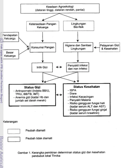 Gambar 1. Kerangka pemikiran determinan status gizi dan kesehatan 