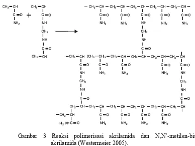 Gambar 3 Reaksi polimerisasi akrilamida dan N,N’-metilen-bis-