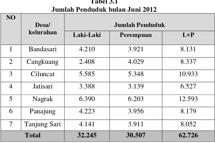 Tabel 3.1 Jumlah Penduduk bulan Juni 2012 
