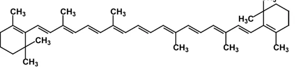 Gambar 2. Struktur molekul betakaroten.