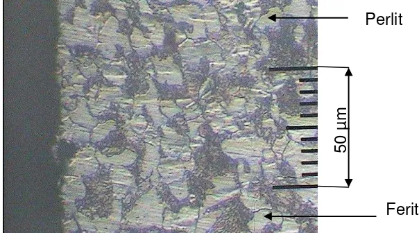 Gambar 4. 4 Struktur Mikro Specimen Raw Material atau Baja ST 60 yang 