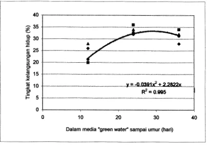 Gambar 7. Hubungan antara tingkat kelangsungan hidup dengan lama waktu larva ikan bandeng (Chanos chanos Forskal) dipelihara di dalam media "green water" 