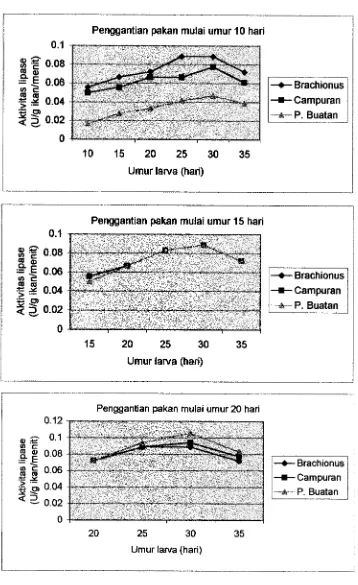Gambar 16. Aktivitas enzim lipase setiap pengamatan pada penggantian Brachionus dengan pakan buatan mulai umur 10,15 dan 20 hari