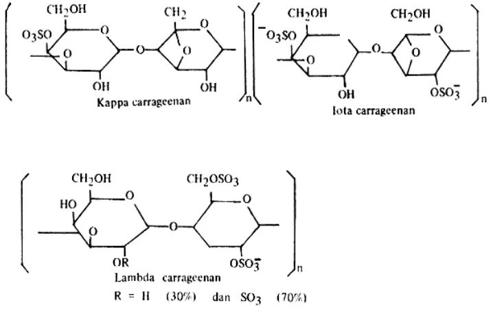 Gambar 3. Struktur kimia kappa, iota dan lambda karaginan.(www.fao.org/docrep/field/003/AB882E/AB882E14.htm)