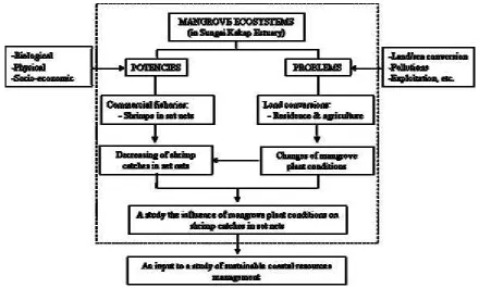Figure 2  The research framework of shrimps caught by set net in different mangrove conditions