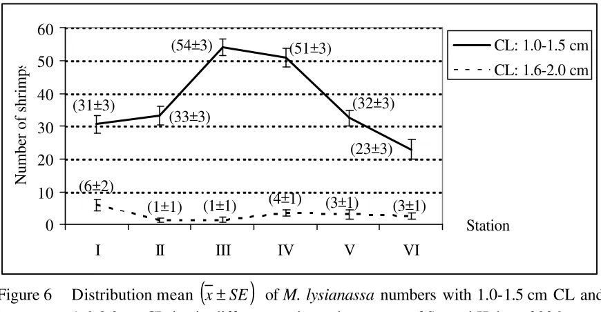 Figure 6 )Distribution mean (x ±SE  of M. lysianassa numbers with 1.0-1.5 cm CL and 1.6-2.0 cm CL in six different stations, the estuary of Sungai Kakap, 2006