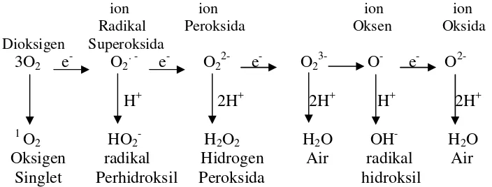 Gambar 1 Mekanisme pembentukan ROS (Apel dan Hirt 2004)