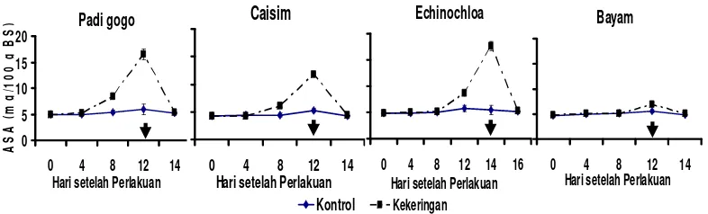 Gambar 7 Kandungan asam askorbat padi gogo, caisim, dan bayam mulai 0 sampai 12 HSP dan14 HSP Echinochloa dan recovery