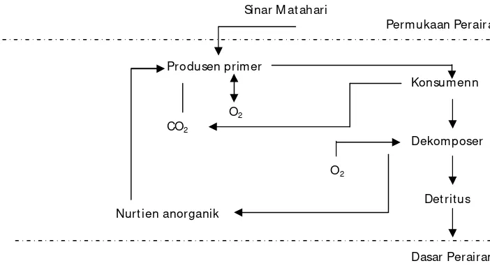 Gambar 2. Siklus materi di ekosistem perairan (McNaughton dan Wolf, 1990) in Fitrian, 2002