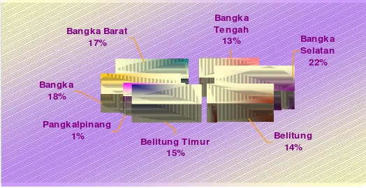Gambar 3. Persentase luas wilayah daratan                                                   Provinsi Kepulauan Bangka Belitung 