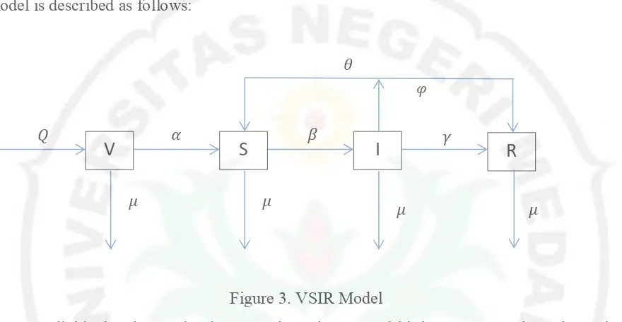 Figure 3. VSIR Model 
