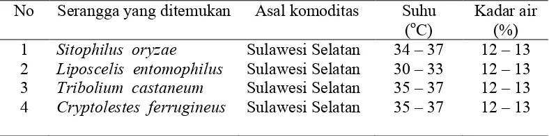Tabel 2  Hasil pemantauan di gudang beras Bulog divisi regional DKI Jakarta
