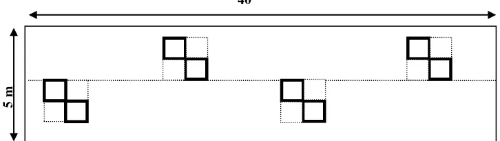 Gambar 3.   Desain kerangka contoh, yang digunakan untuk petak contoh 1 m x 1 m (tumbuhan bawah), atau untuk dua petak contoh ukuran 0.5 m x 0.5 m (serasah kasar dan serasah halus) (Sumber : Hairiah et al, 1999)