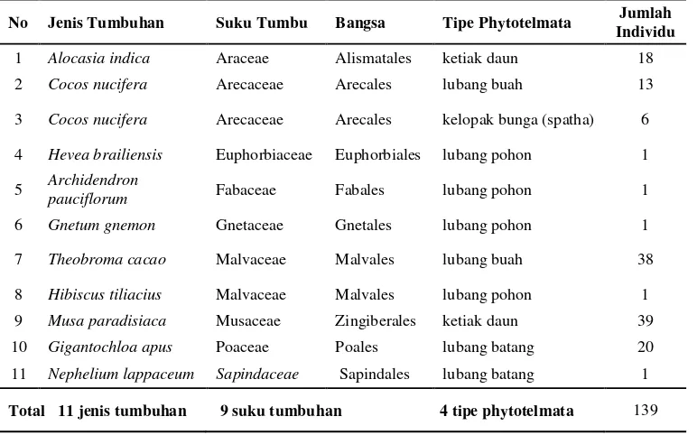 Table 1. Jenis, tipe phytotelmata dan jumlah tumbuhan yang ditemukan pada area  perkebunan  di kota Bandarlampung  