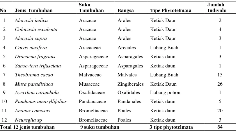 Tabel 2. Jenis, tipe phytotelmata dan jumlah tumbuhan yang ditemukan pada area pemukiman di kota Bandarlampung 
