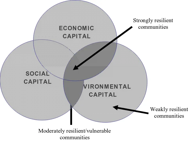 Figure 2.  Community resilience. Vulnerability, and Economic, Social and Environmenttal Capital Source : Wilson (2012, p