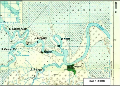 Gambar 6  Peta lokasi pengambilan sampel ikan lais dan data lingkungan di SungaiKampar Riau (Sumber : Bakosurtanal 1984)