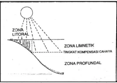 Gambar 2. Pembagian zona ekosistem perairan tergenang secara vertikal (Odum, 1993) 