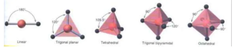 Gambar orientasi orbital adalah sebagai berikut : 