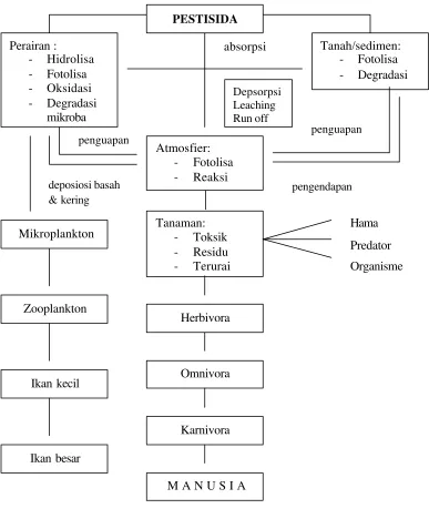 Gambar 1. Dinamika pestisida dalam lingkungan. (Mustamin dan Ma’ruf, 1990 dalam Kusno, 1995).