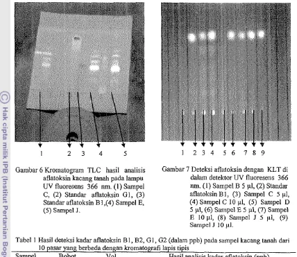 Gambar 6 Kromatogram TLC hasil analisis 
