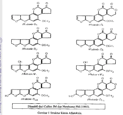 Gambar 1 Struktur kimia Aflatoksin. 