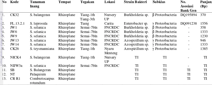 Tabel 1  Daftar isolat bakteri 