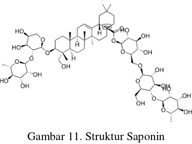 Gambar 11. Struktur Saponin 