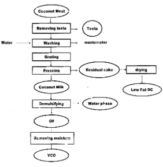 Figure 1. Process flow diagram ofdry process veo 