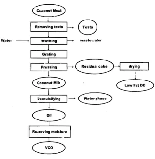 Figure 1. Process flow diagram ofdry process veo 