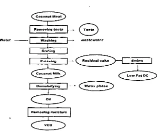 Figure 2. Process flow diagram ofwct process veo 