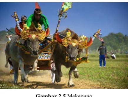 Gambar 2.5 Mekepung 