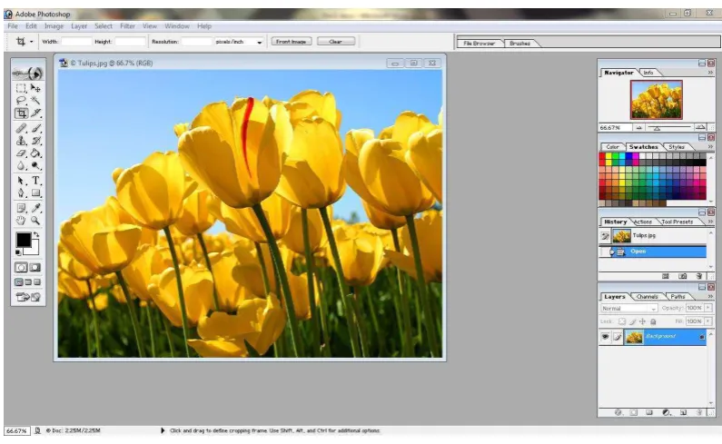 Gambar 2.10 Tampilan Default Adobe Potoshop 7.0 