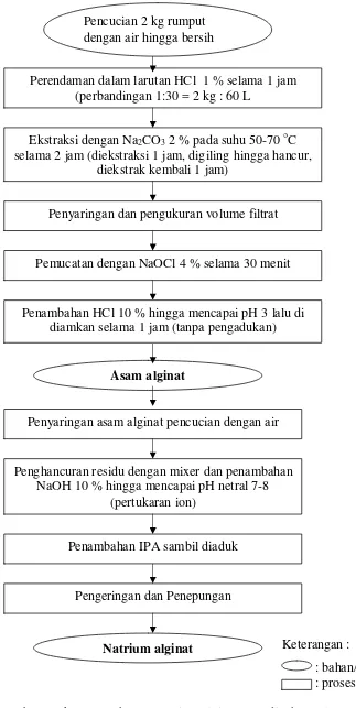 Gambar 4. Skema pembuatan natrium alginat (Murdinah 2005) 