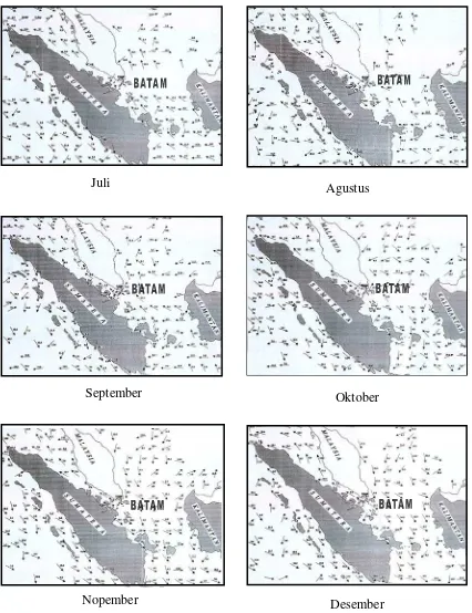 Gambar 6  Pola arus air laut di perairan Batam dan sekitarnya  pada bulan   Juli - Desember  (PT Bumimas Batamjaya, 2001) 